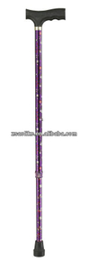 Walking stick