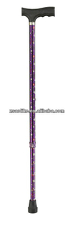 Walking stick