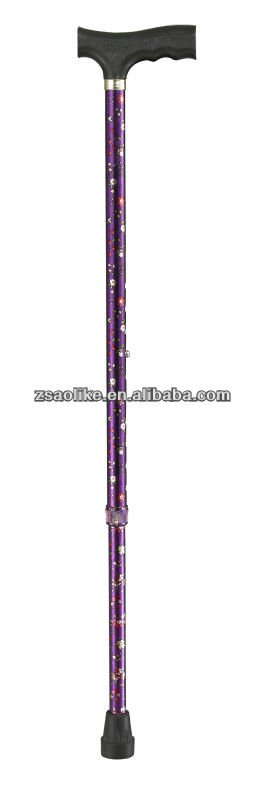Walking stick