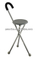 walking stick with seat
