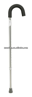 walking stick